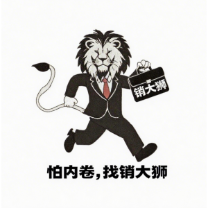 销大狮营销咨询